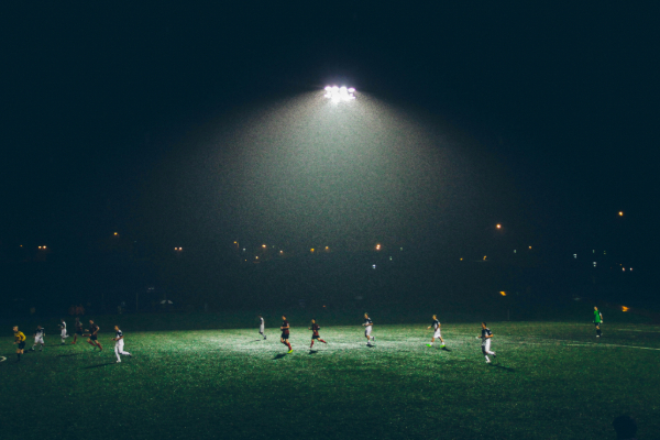 Rainy field